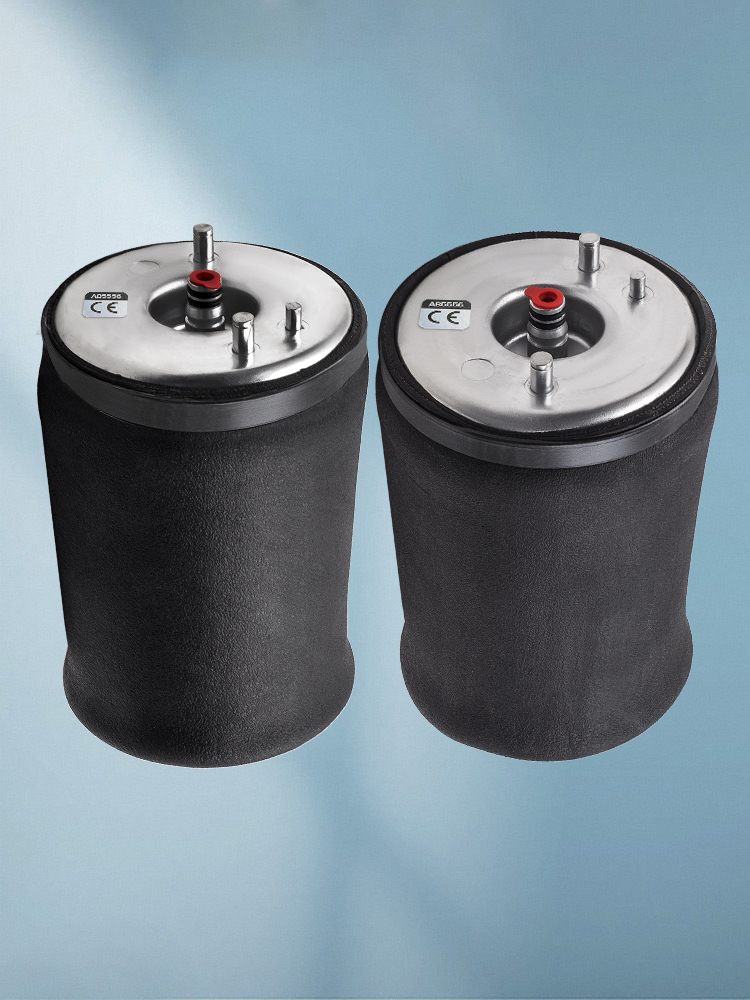 Suspension arrière spring Pneumatique amortisseur compatible pour BMW E53 X5 37126750355/5